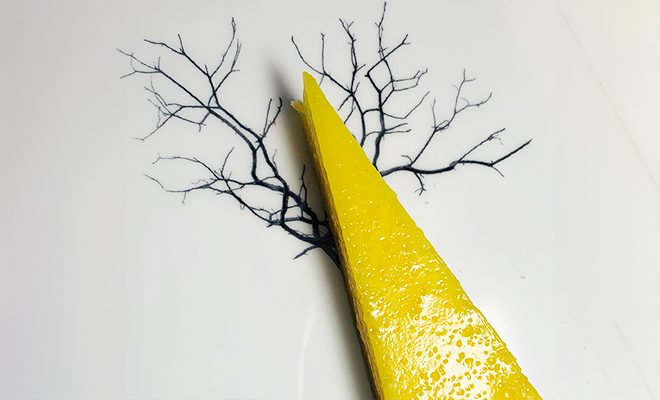 An Image of Martin Wishart / his food at Signature Food Festival 2019